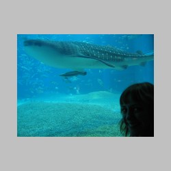 32 poplywaloby sie z nim.html